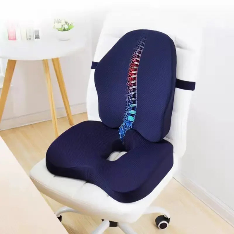 Cojín de Asiento con Respaldo