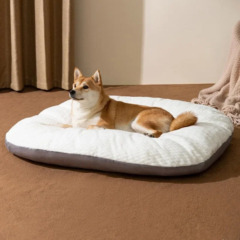 Cojín para Perro XXL Grueso Desmontable