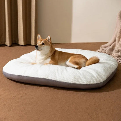 Cojín para Perro XXL Grueso Desmontable