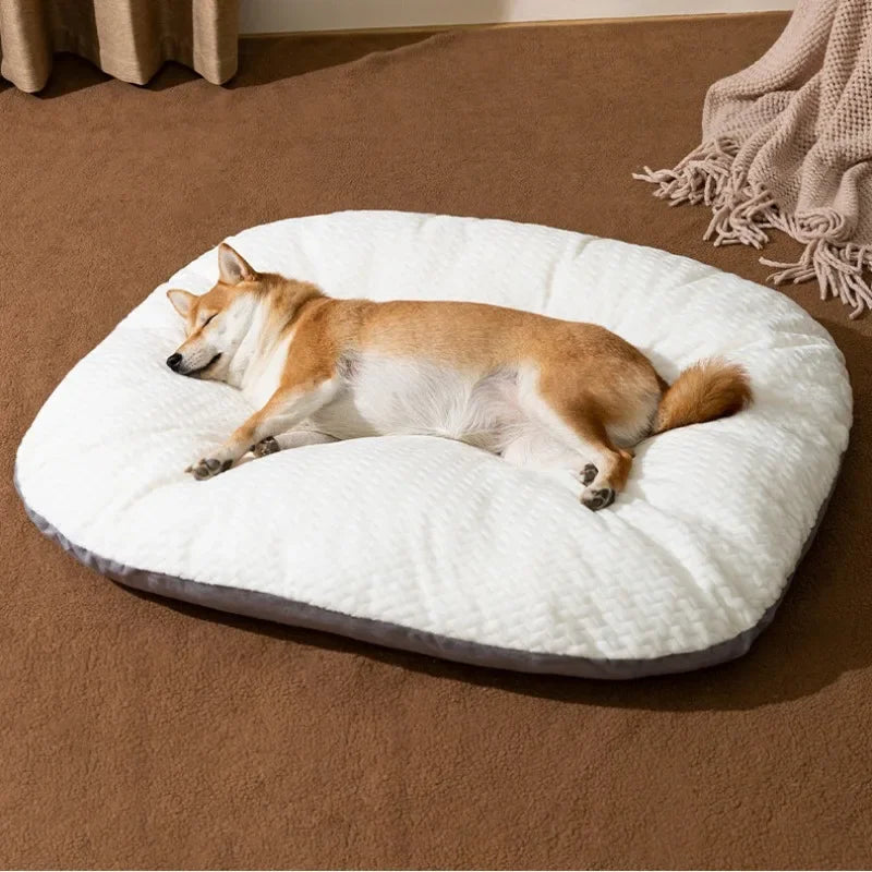 Cojín para Perro XXL Grueso Desmontable