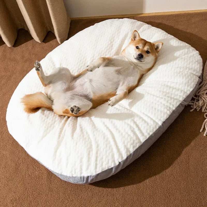 Cojín para Perro XXL Grueso Desmontable