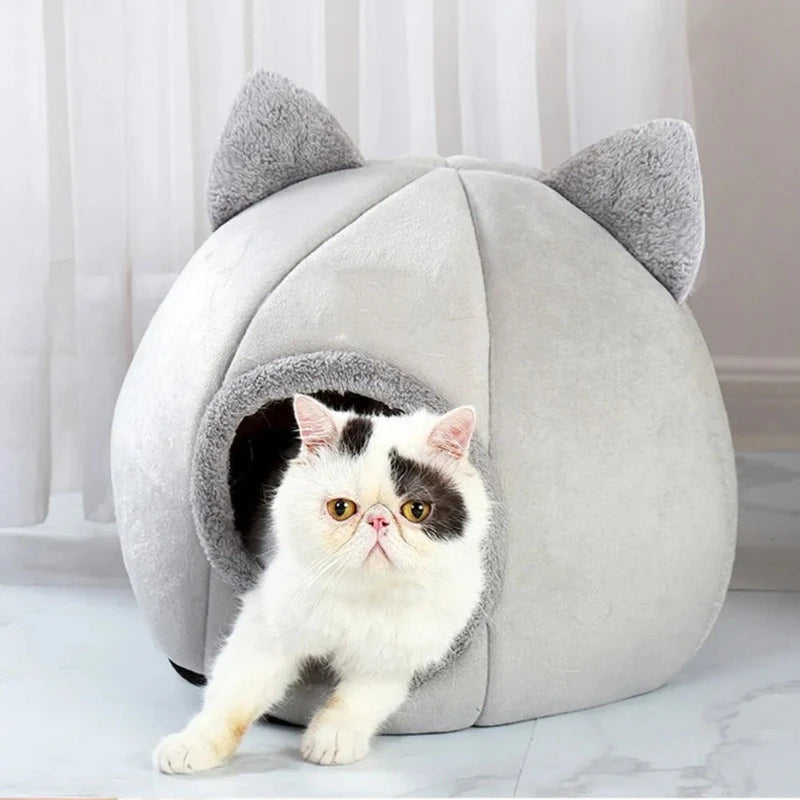 Cojín para Gato Cómodo