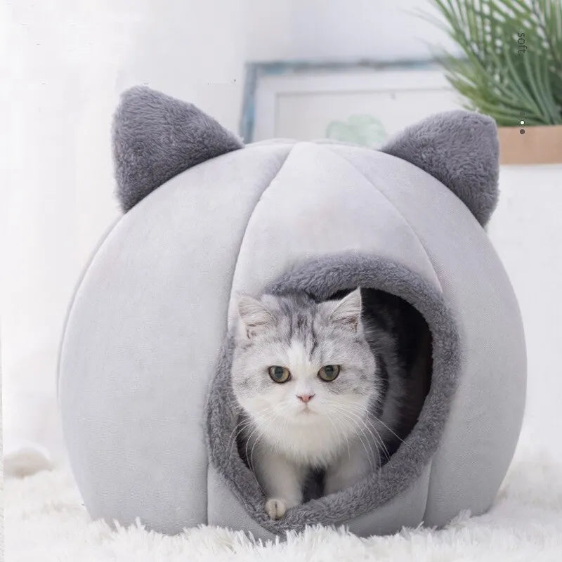 Cojín para Gato Cómodo