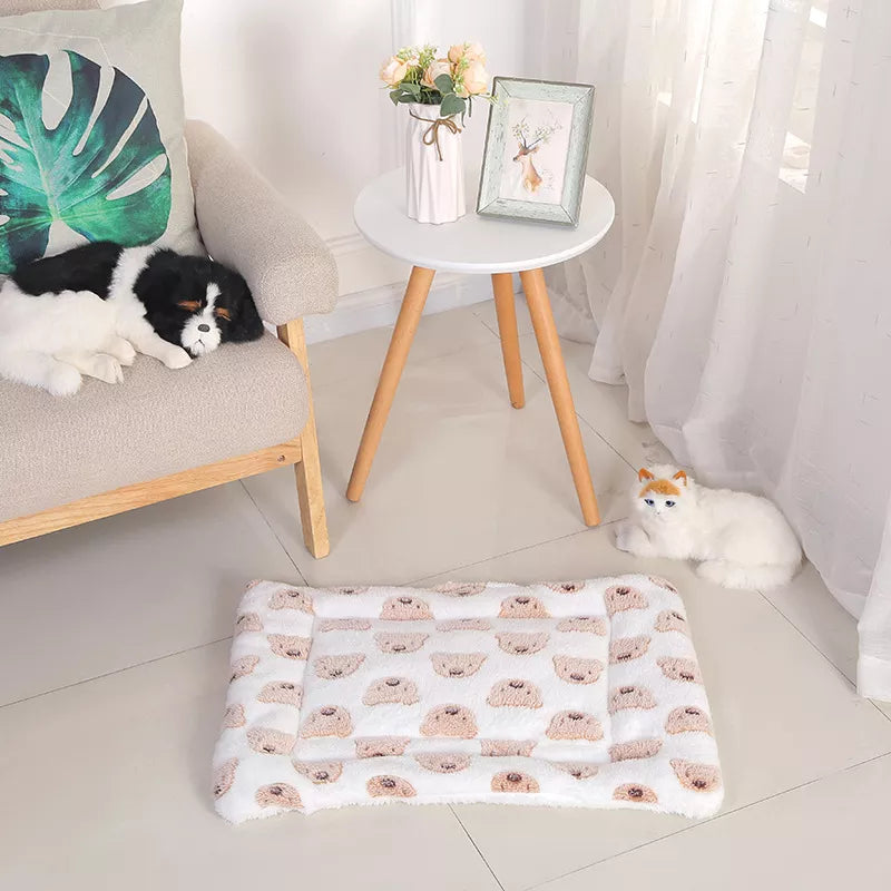Cojín para Gato Cuadrado