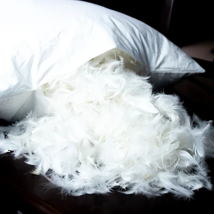 Cojines de Plumas para Sofá y Cama